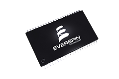 EVERSPIN