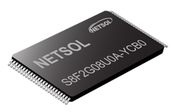 NETSOL